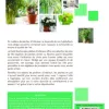 Test Le Traité Rustica des plantes d'intérieur : le gros guide sérieux pour arrêter de tuer ses plantes