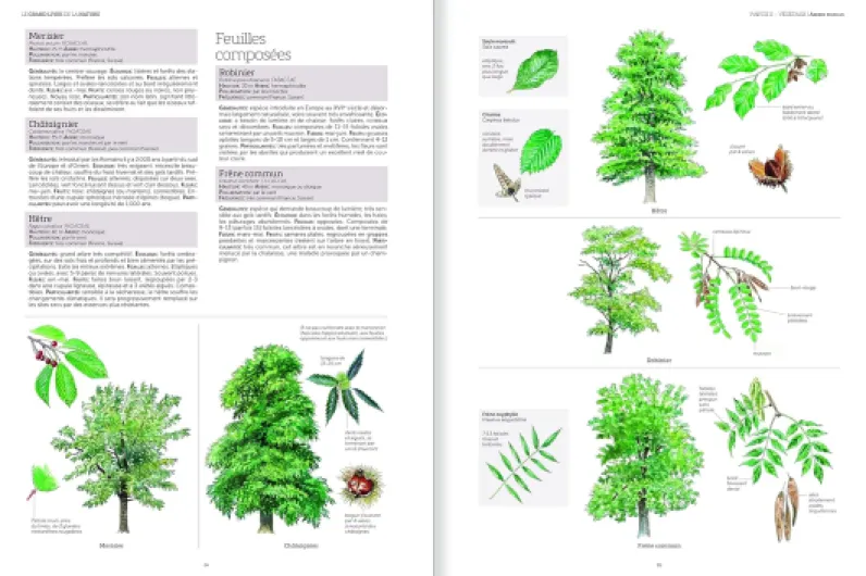Le grand livre de la nature