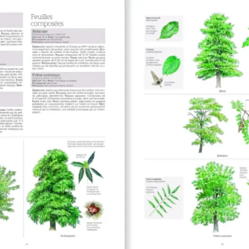 Test Le grand livre de la nature : l’énorme pavé qu’on laisse traîner sur la table du salon