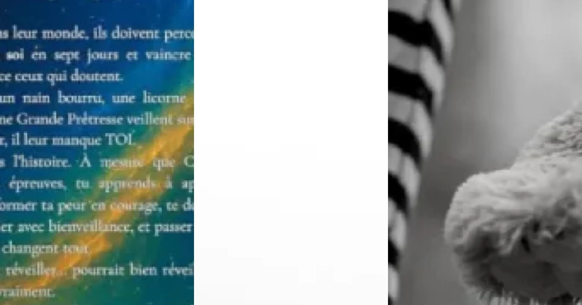 Top Livres jeunesse illustrés luxe