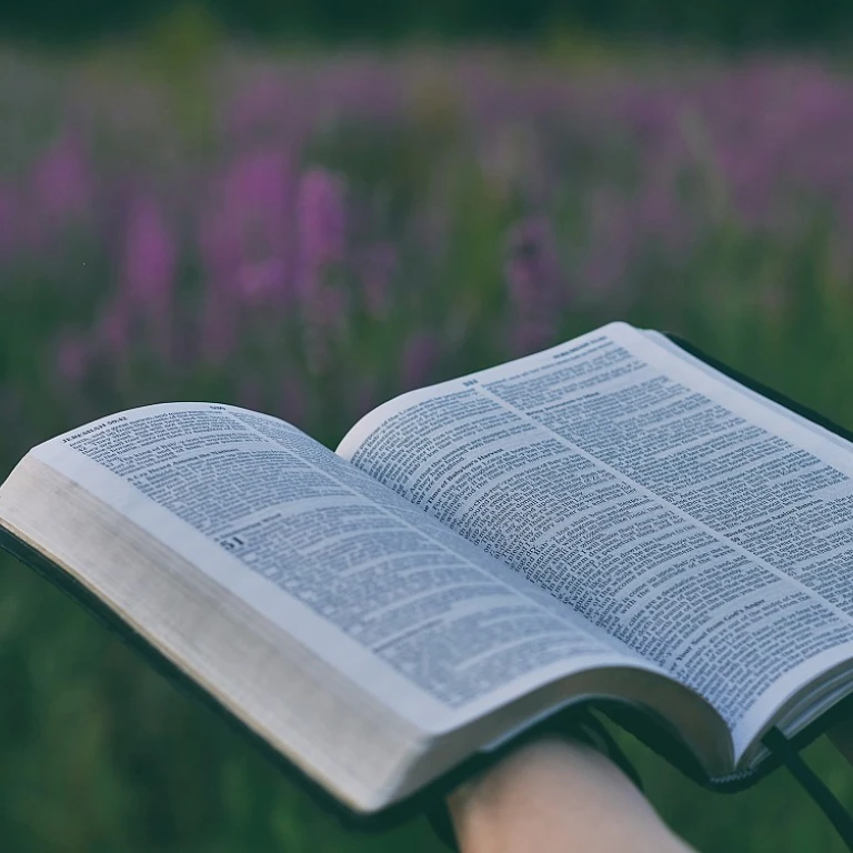 Comment créer une fiche de lecture PDF pour 'Ourika'
