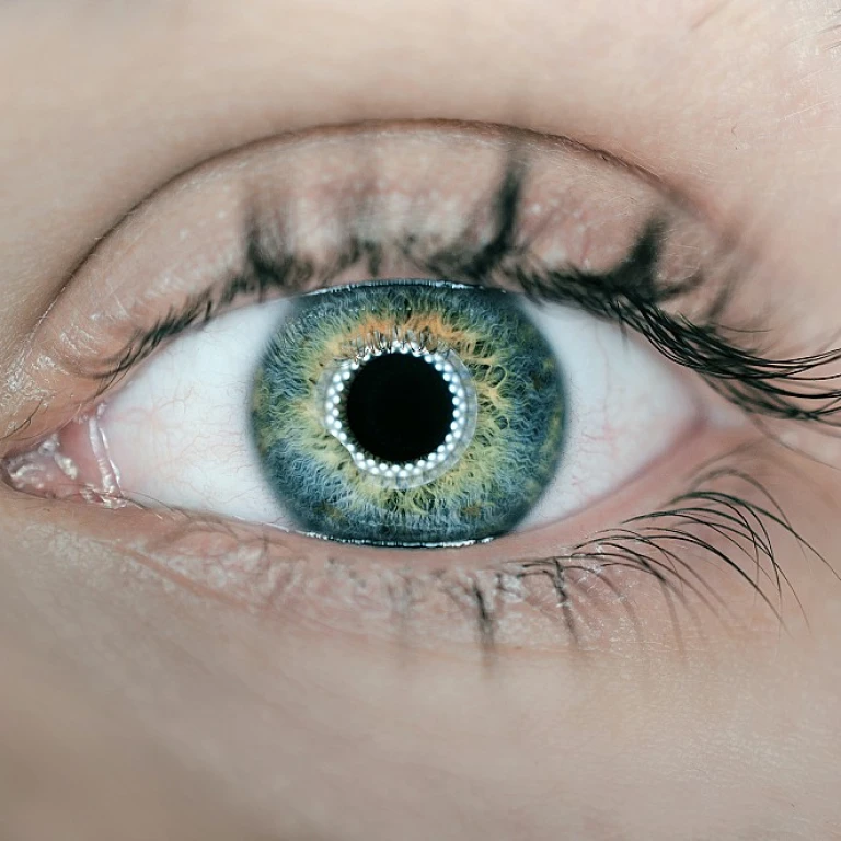 Les secrets pour bien écrire une histoire captivante