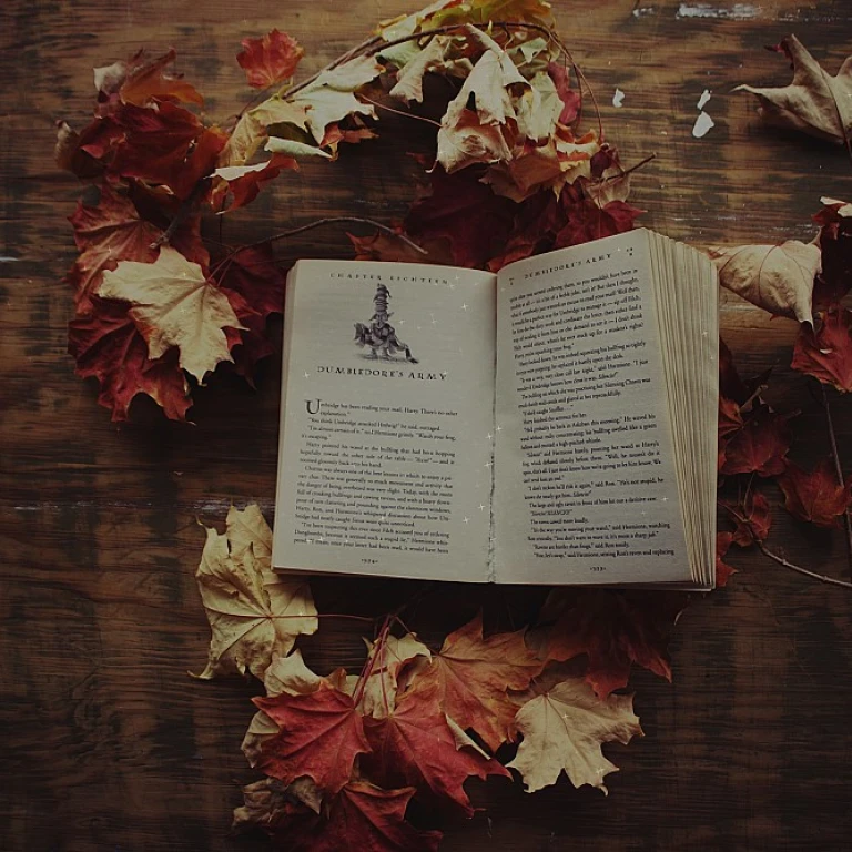 Plongée dans l'univers de 1001ebooks ws
