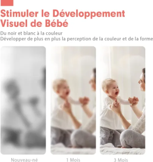 61MLpn1MWfL._AC_SL1500_