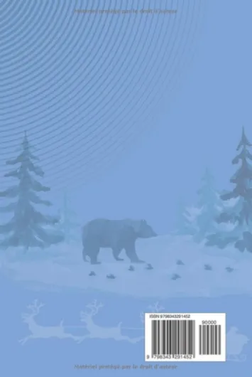 ROVANIEMI AVENTURE EN FAMILLE: (complet couleur) Guide de voyage économique avec cartes pour les enfants Plaisirs arctiques, marchés de Noël, village du Père Noël et aurores boréales en Laponie