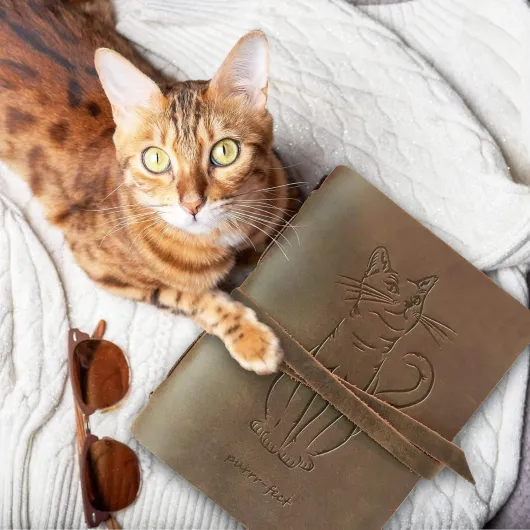 810iS n8eDL._AC_SL1500_
