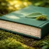 Édition écoresponsable : comment chaque maison d’édition peut réduire l’impact environnemental du livre