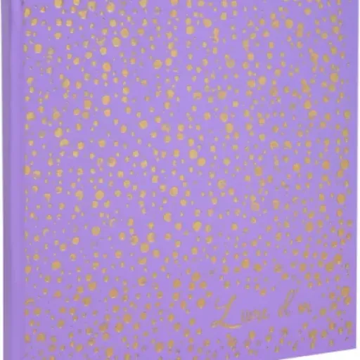 Test Exacompta Livre d'or Plum' violet : joli carnet pour événements, pas donné mais sérieux