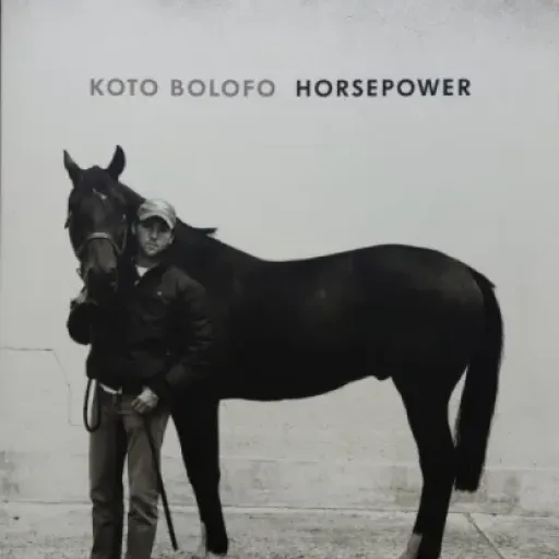 Test Horse Power : un gros livre photo qui en impose sur la table basse