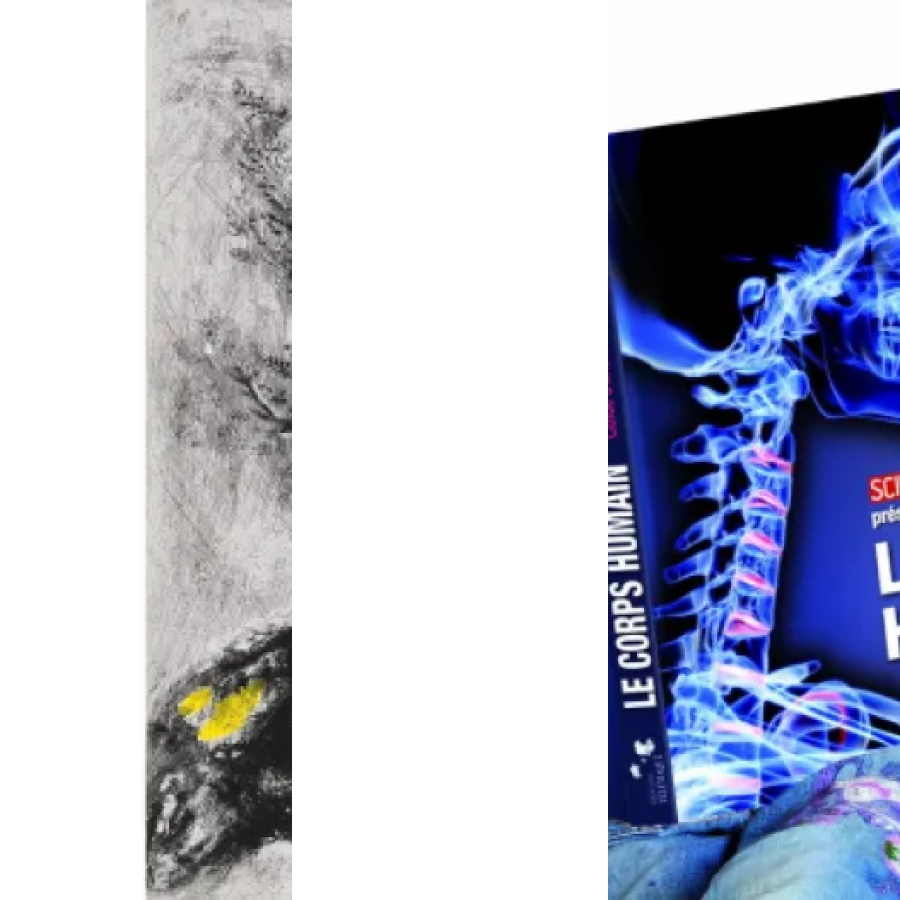 10 meilleurs livres grand format illustrés : notre comparatif (2026)