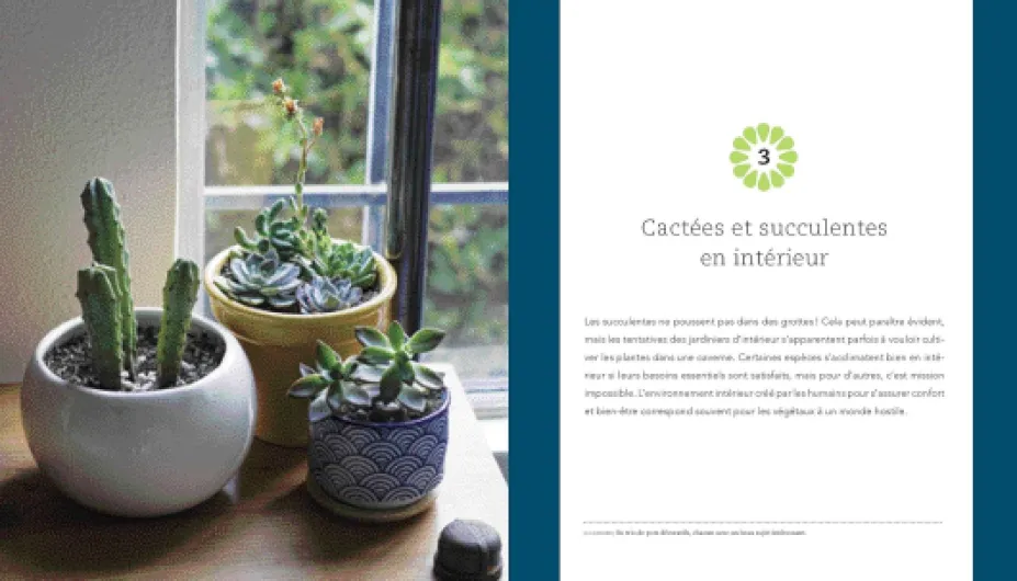 Fascinantes succulentes: Choisir, cultiver et prendre soin des cactus et autres plantes grasses