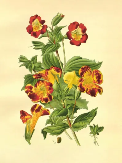 71s6xBM06vL._SL1500_