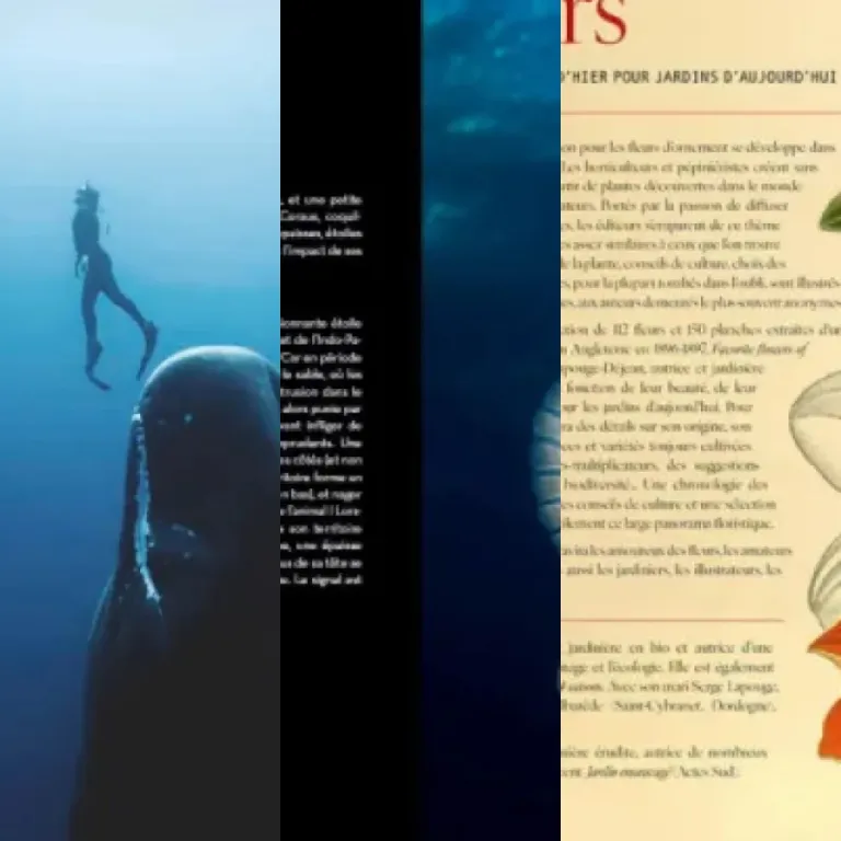 Les 6 meilleurs beaux livres nature et animaux (2026)