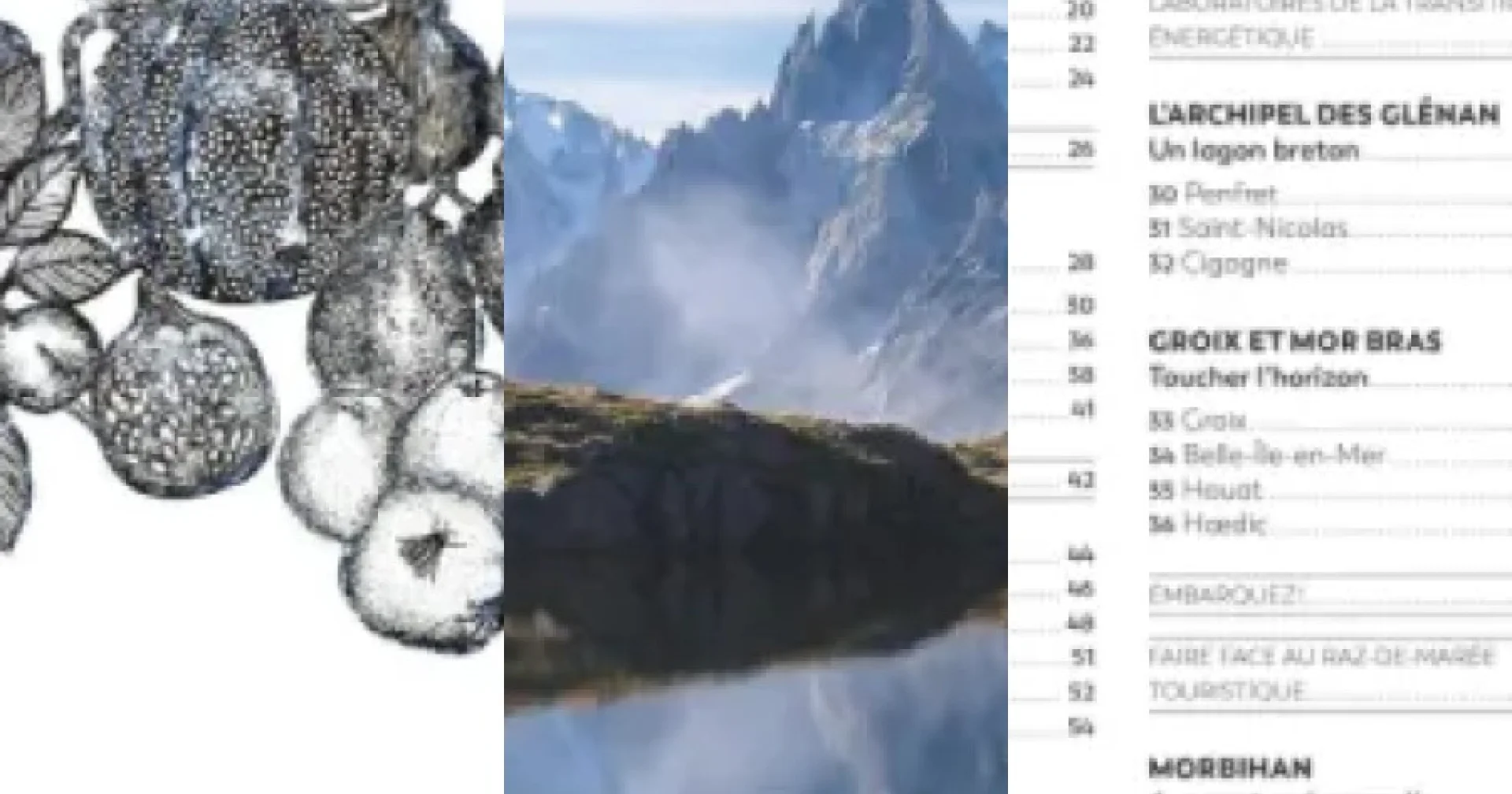 Notre sélection des 3 meilleurs livres photographie paysages (2026)