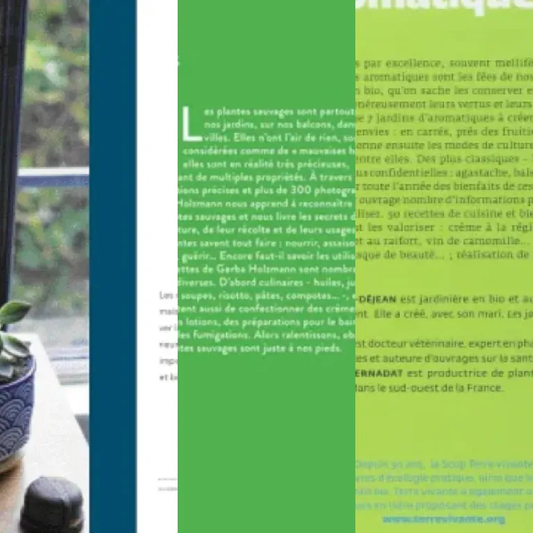 Notre sélection des 5 meilleurs livres jardinage et botanique (2026)